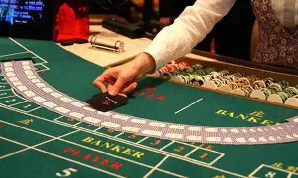 5533bet